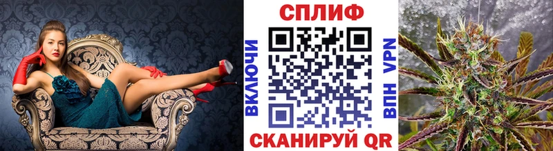 Конопля конопля  Судогда 